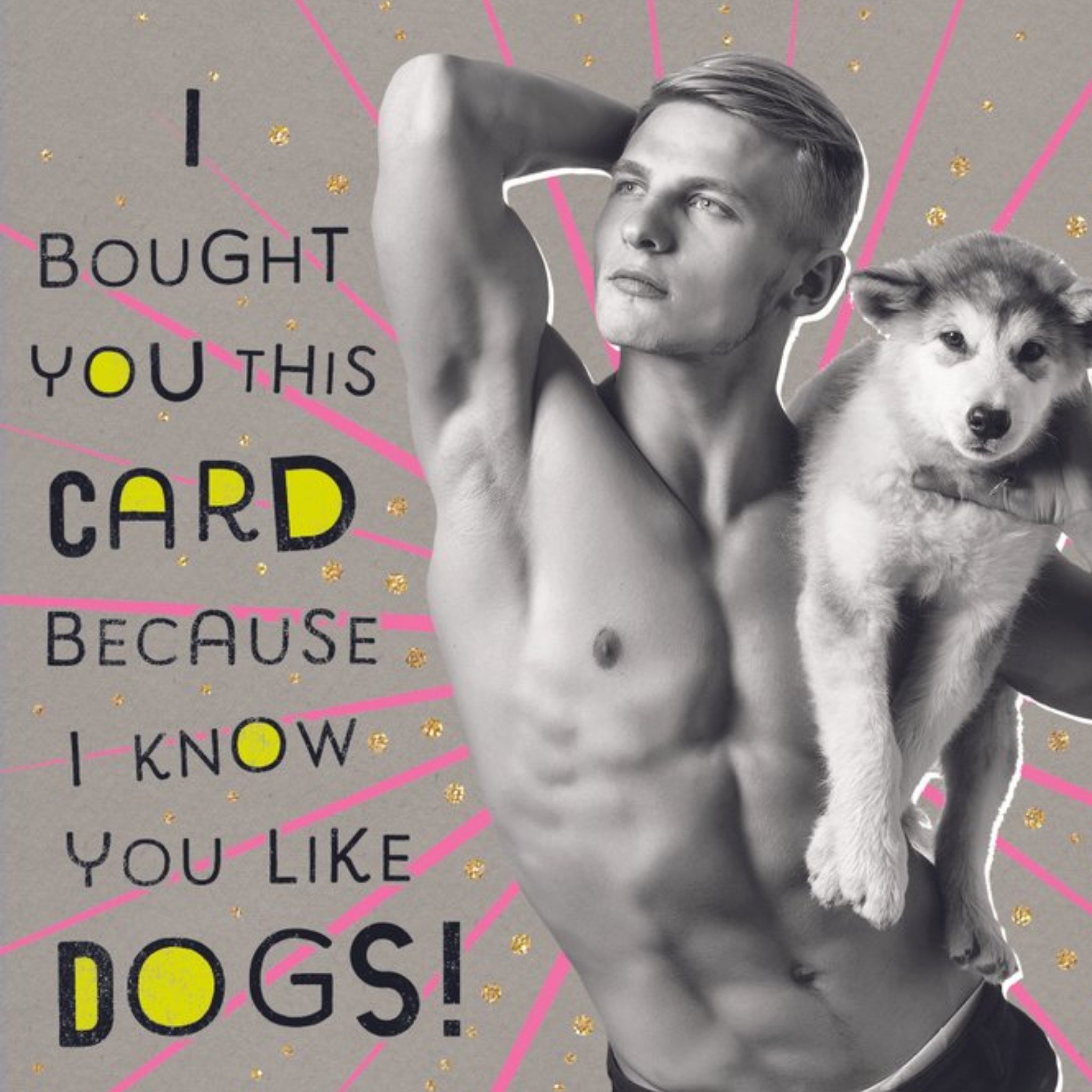 Moonpig Birhday Card - Photo Humour - Dogs, Square