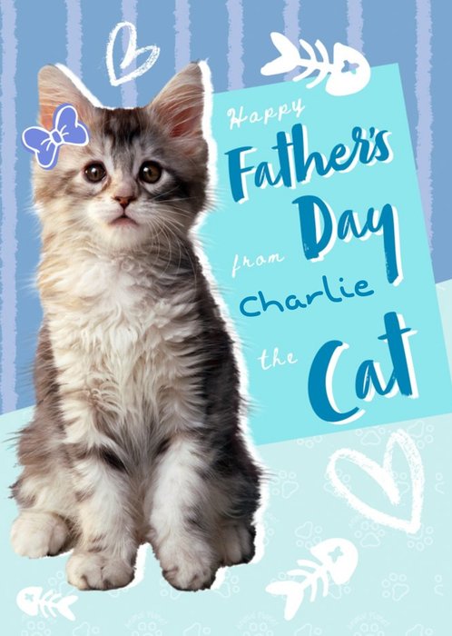 Animal Planet Cute From The Cat Father's Day Card