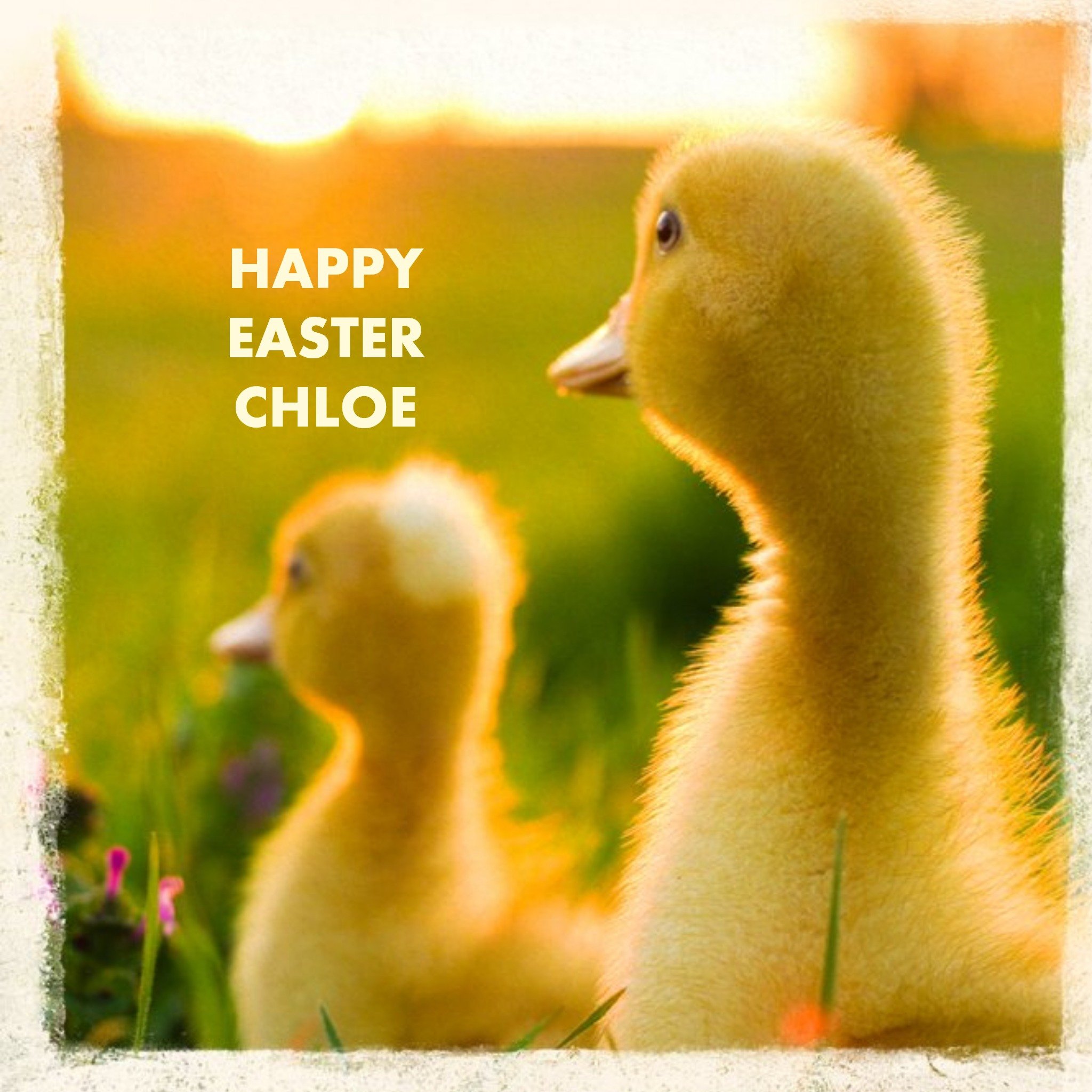 Springtime Ducklings Personalised Easter Card, Square