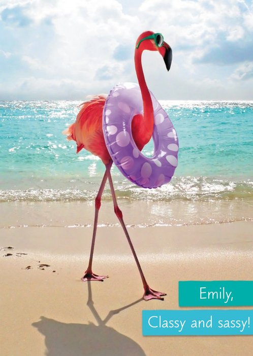 Funny Flamingo Classy And Sassy Birthday Card