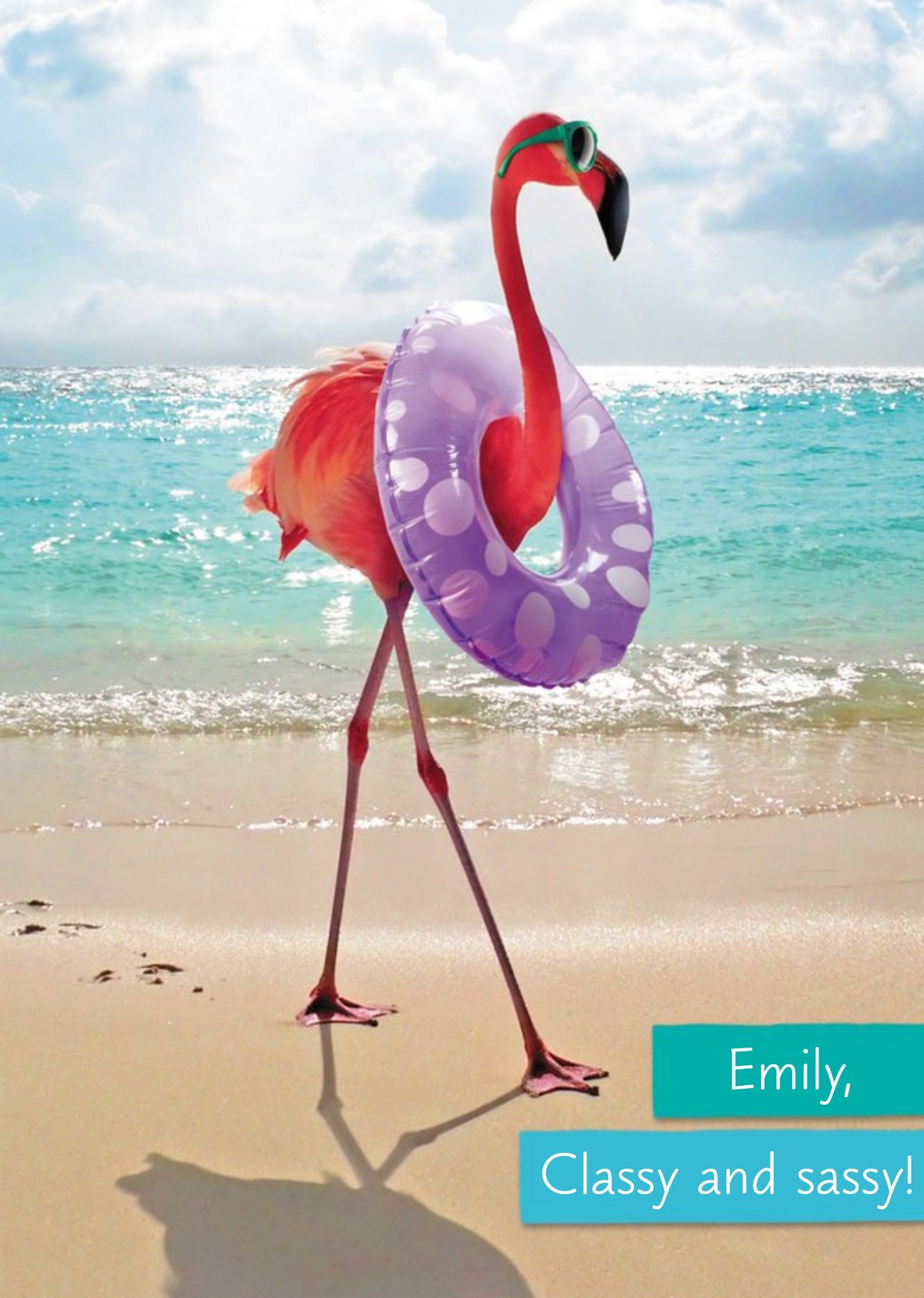 Funny Flamingo Classy And Sassy Birthday Card Ecard