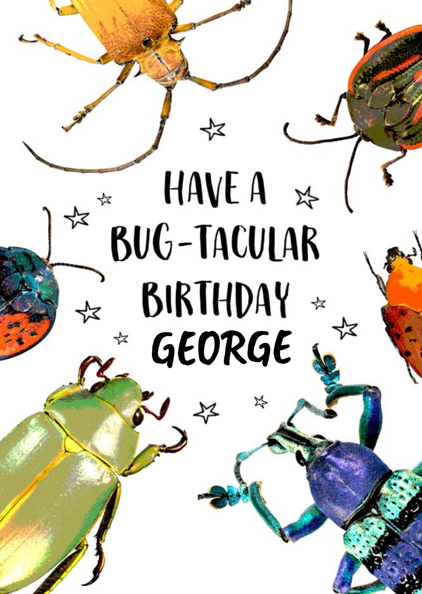 The Natural History Museum Natural History Museum Bug-Tacular Birthday Card, Large