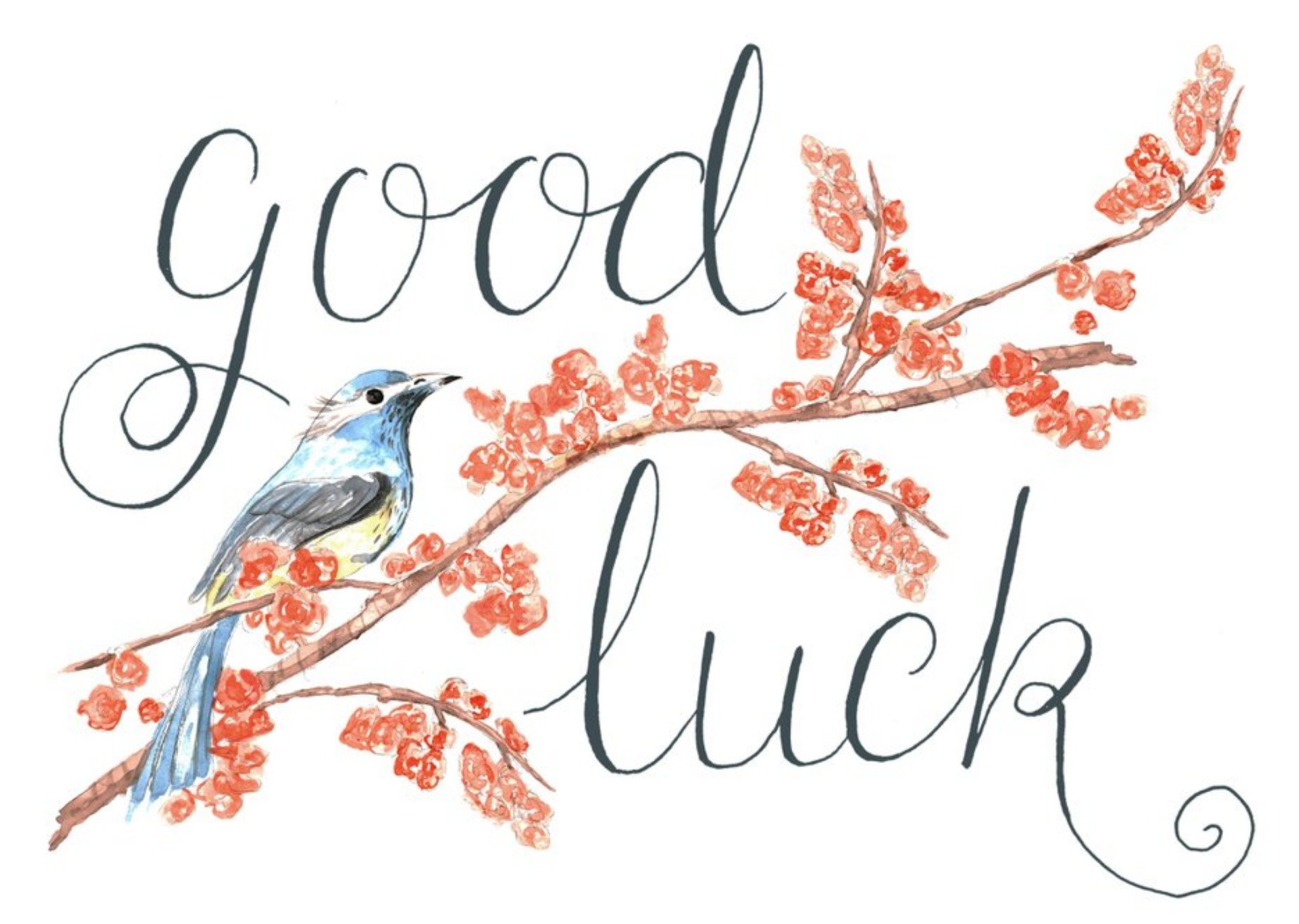 Illustrated Bird On Branch Personalised Good Luck Card Ecard