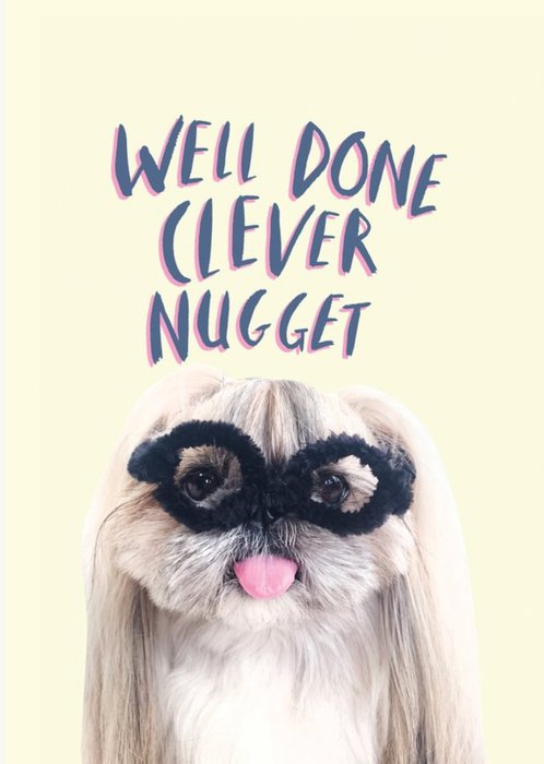Jolly Awesome Well Done Clever Nugget Card