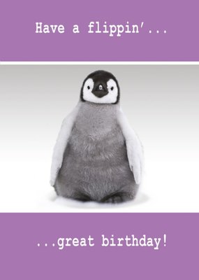 Quitting Hollywood Paw Play Penguin Birthday Funny Card