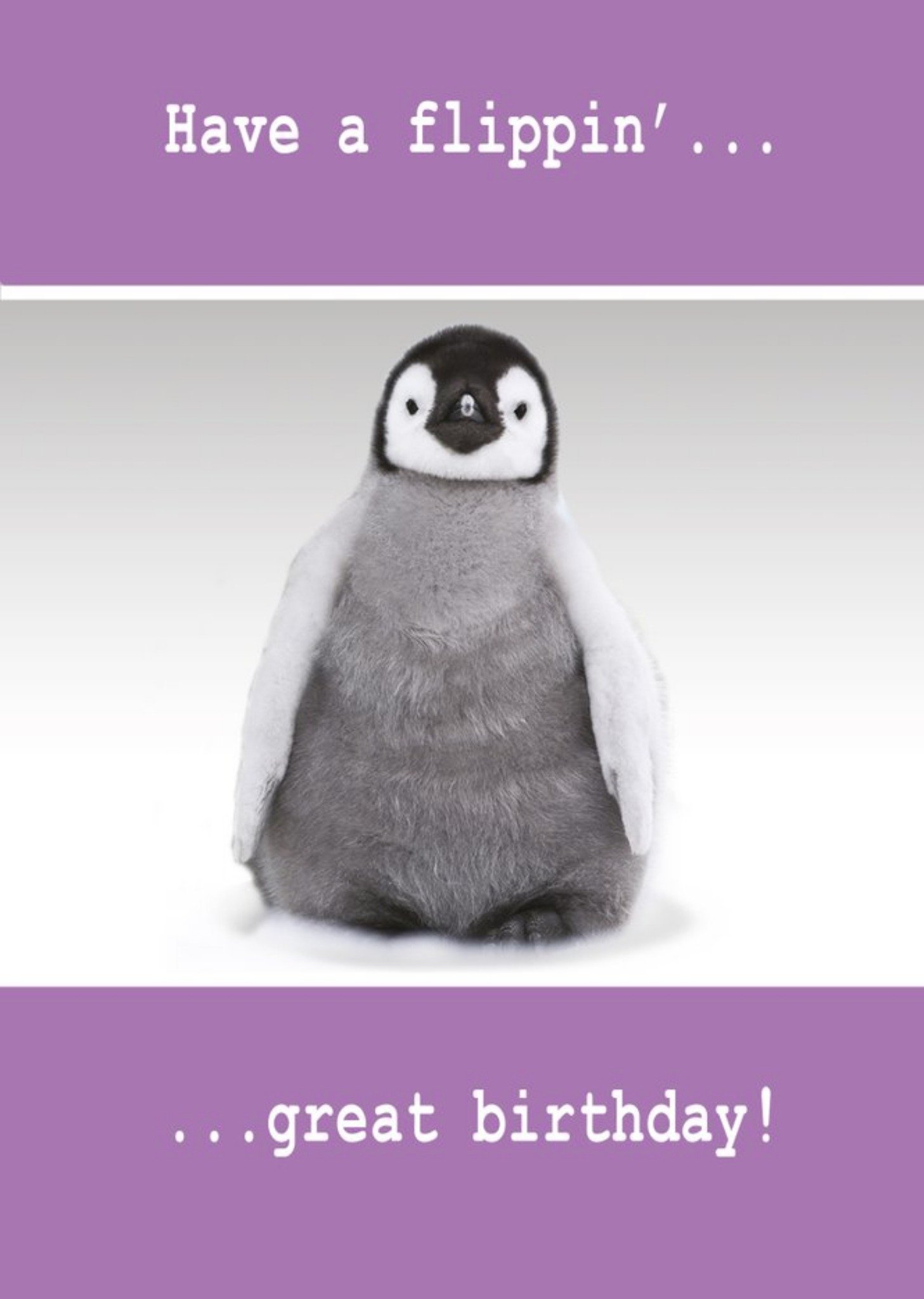 Moonpig Quitting Hollywood Paw Play Penguin Birthday Funny Card Ecard