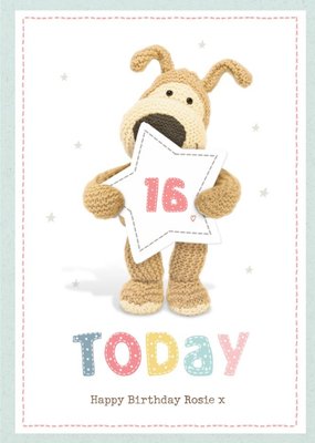Cute Boofle 16 Today Birthday Card