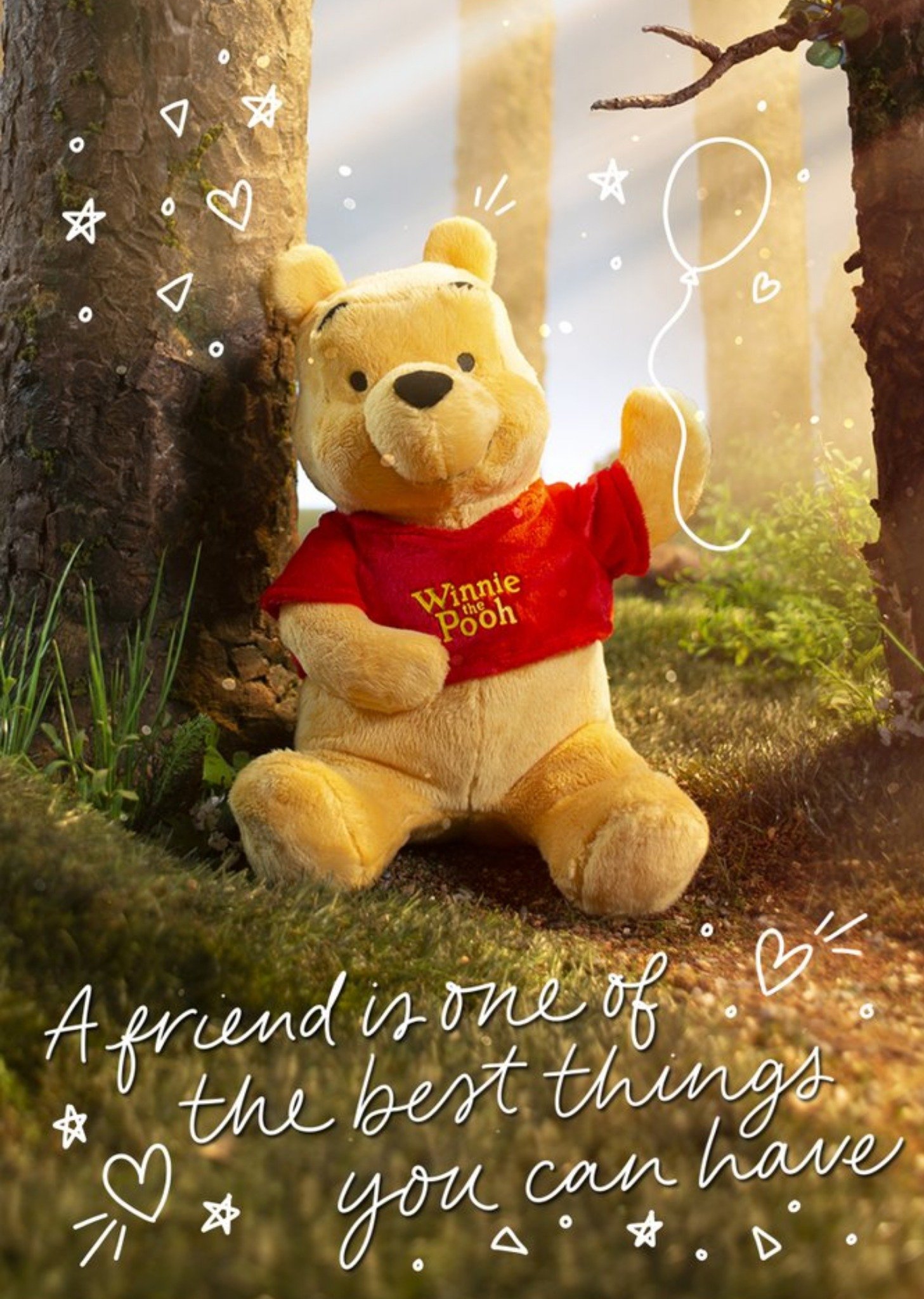 Cute Disney Plush Winne The Pooh Best Thing You Can Have Card