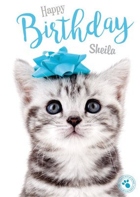 Little Kitten Personalised Birthday Card