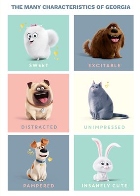 Secret Life Of Pets Characteristic Personalised Text Card