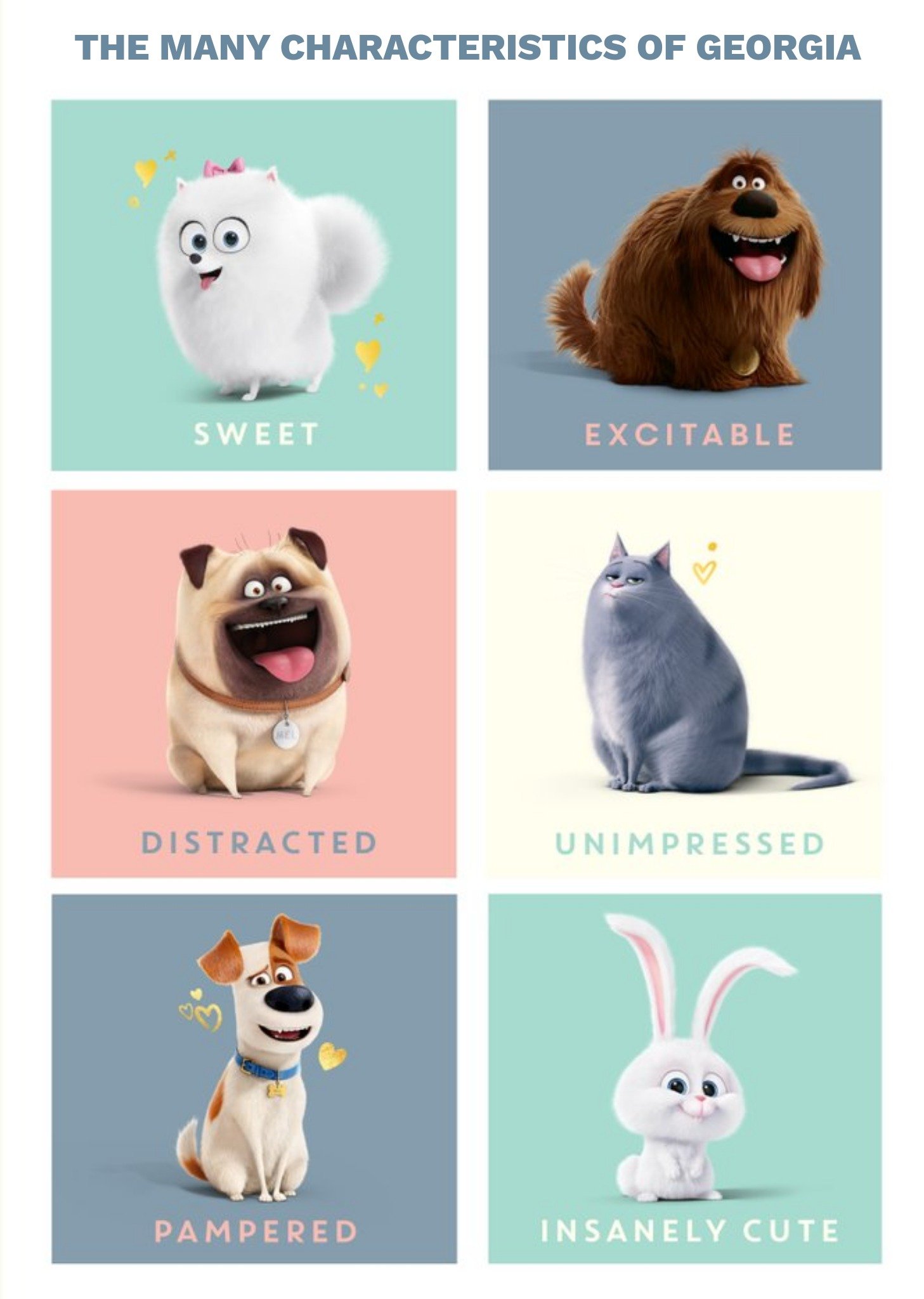 Moonpig Secret Life Of Pets Characteristic Personalised Text Card, Large