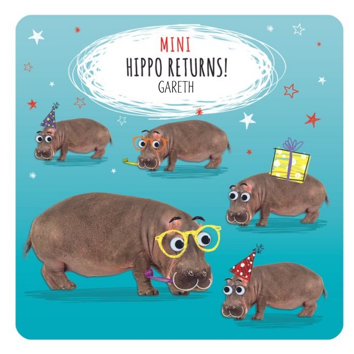 Mini Hippo Returns Pun Happy Birthday Card