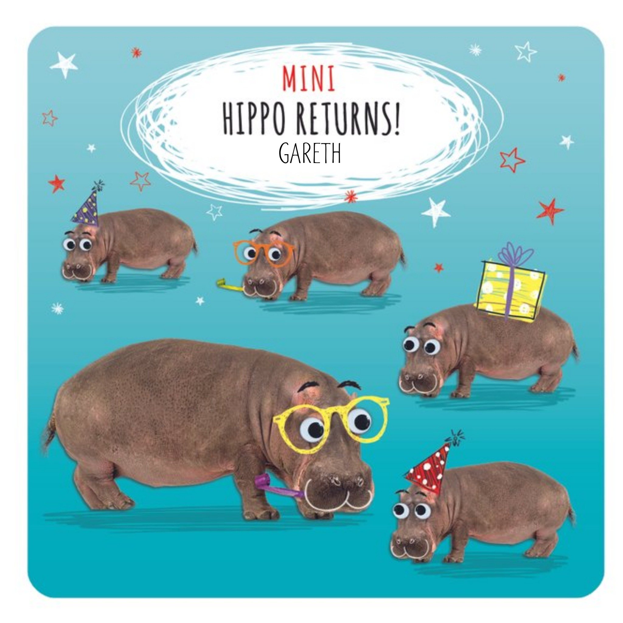 Moonpig Mini Hippo Returns Pun Happy Birthday Card, Large