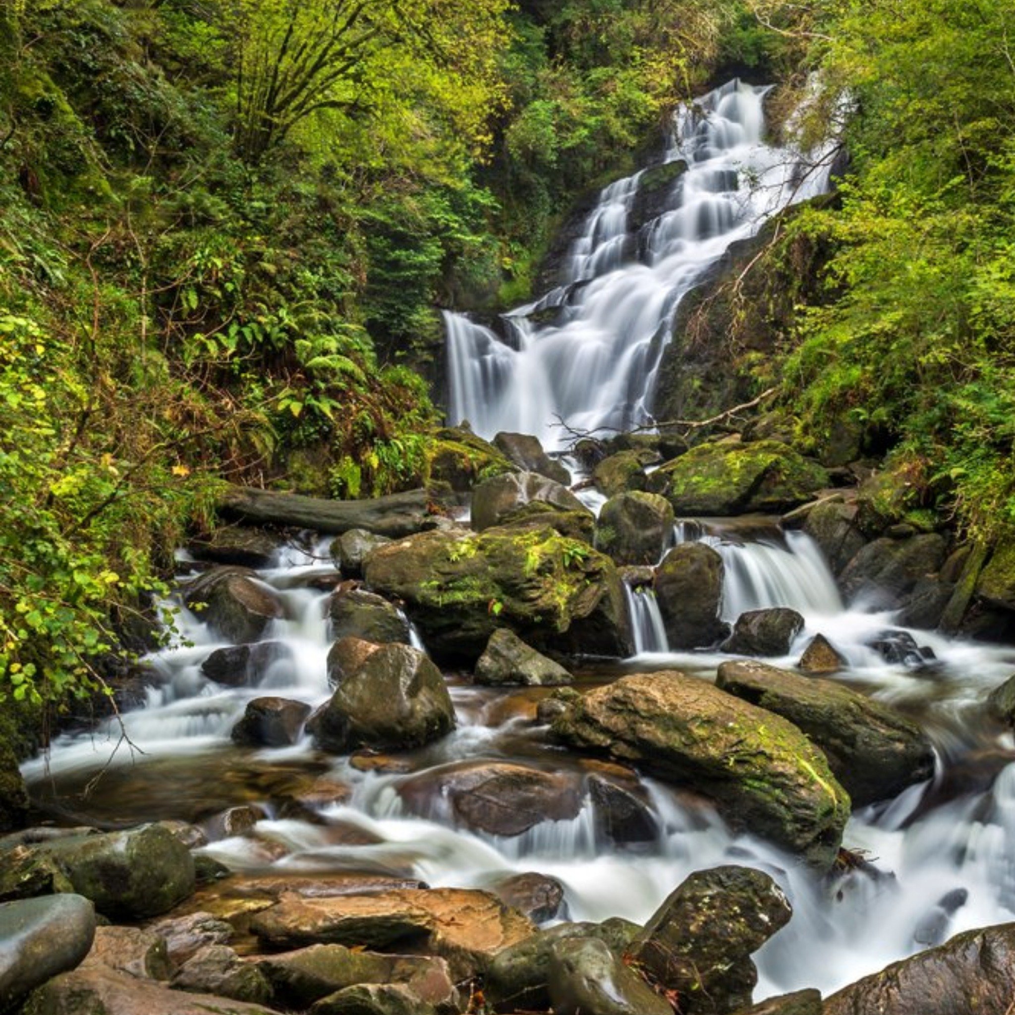 Moonpig Photographic Image Of Torc Waterfall Killarney National Park County Kerry Ireland Card, Squa