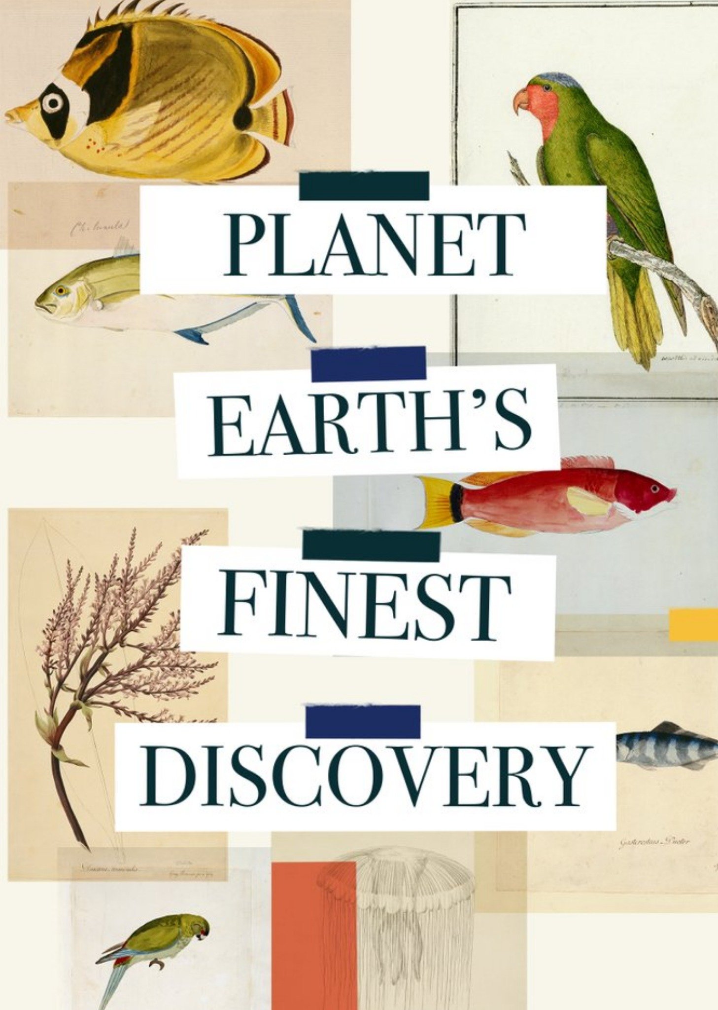 The Natural History Museum Natural History Museum Planet Earth's Finest Discovery Birthday Card, Lar