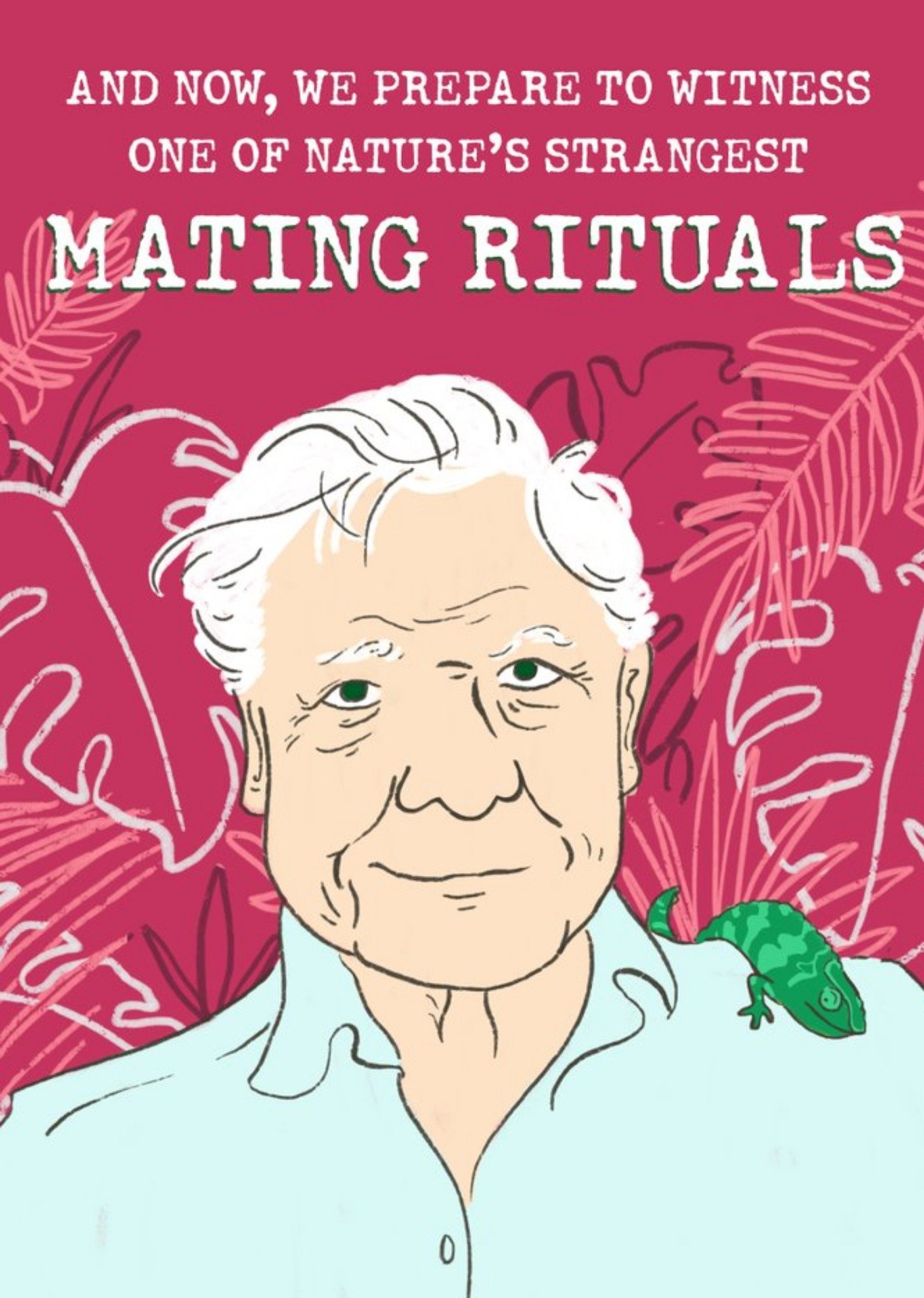Moonpig David Attenborough Mating Ritual Valentines Day Card, Large