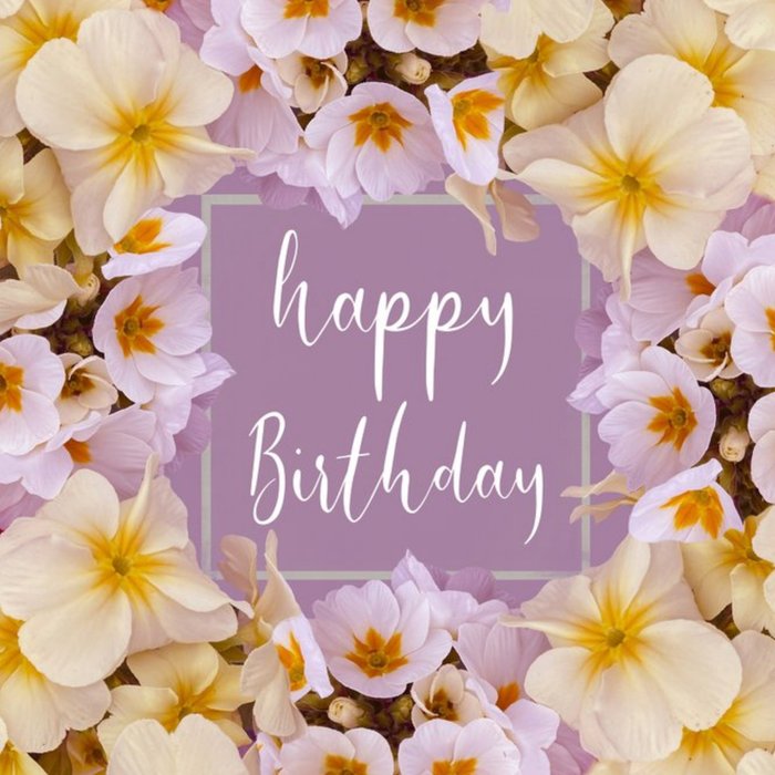 Alex Sharp Photography Floral Pretty Flower Happy Birthday Card | Moonpig