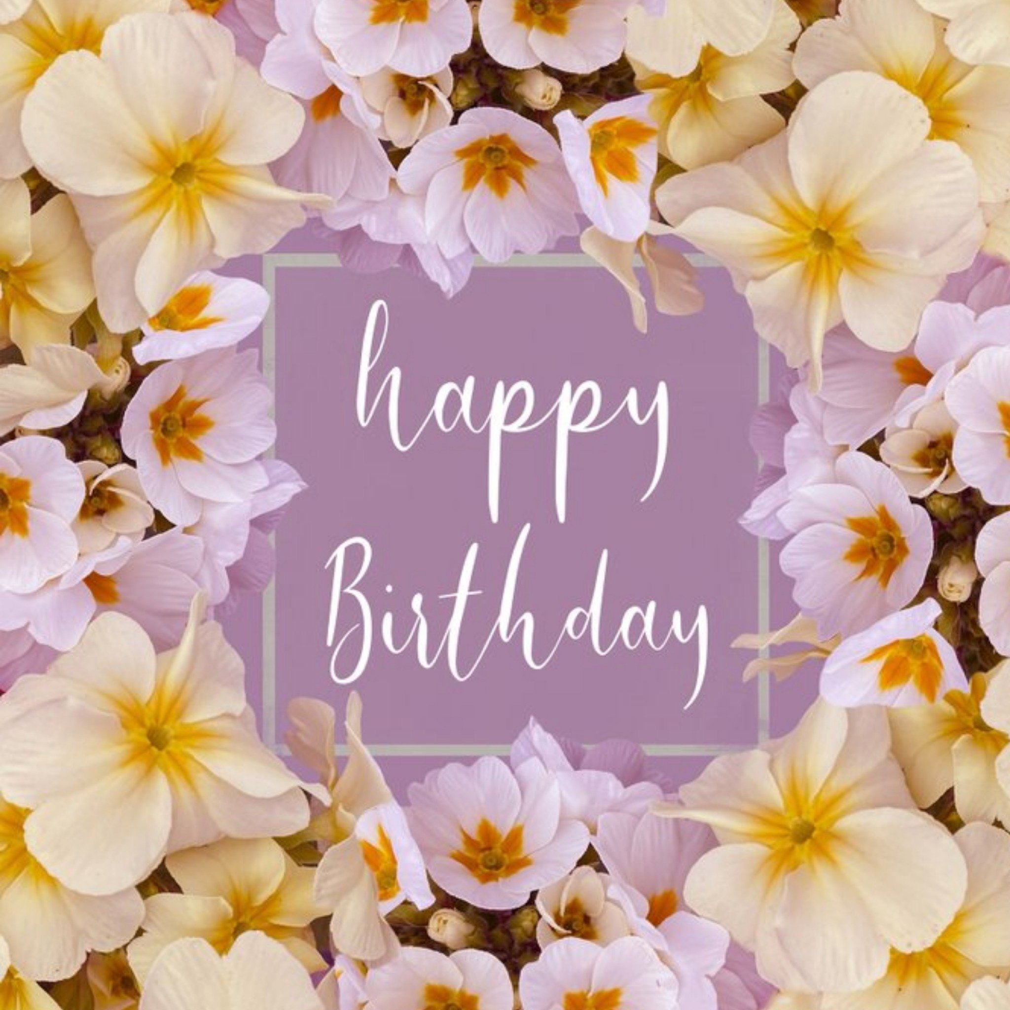 Alex Sharp Photography Floral Pretty Flower Happy Birthday Card, Square