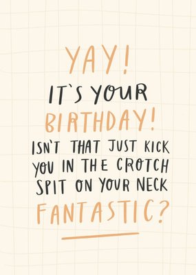 Funny Yay It's Your Birthday Kick You In The Crotch Spit On Your Neck Fantastic Birthday Card