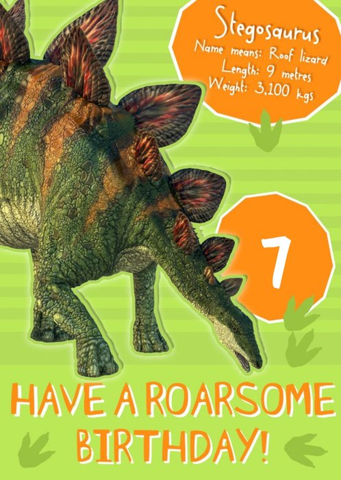 Stegosaurus Dinosaur Have A Roarsome Birthday Card