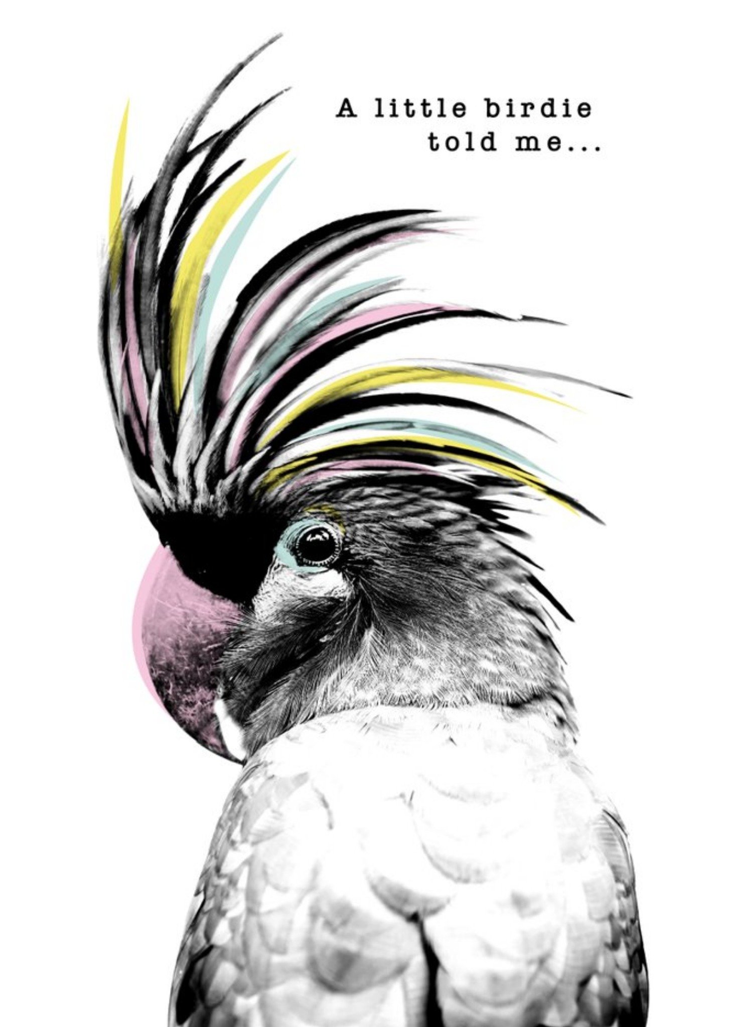 Moonpig Modern Design Parrot A Little Birdie Told Me Card Ecard