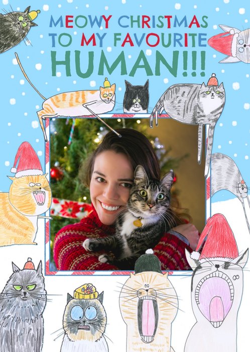 Meowy Christmas To My Favourite Human! Photo Upload Card