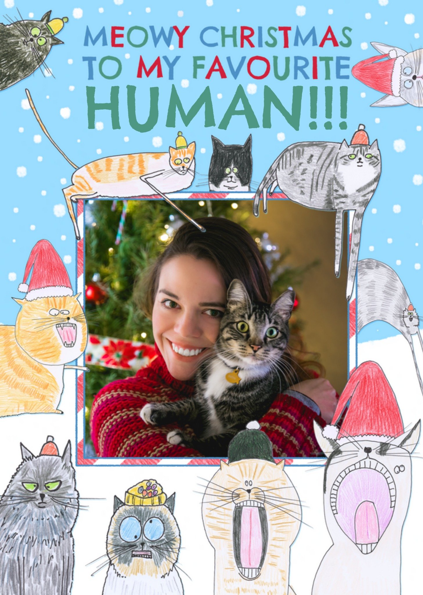 Hercule Van Wolfwinkle Meowy Christmas To My Favourite Human Photo Upload Card, Large