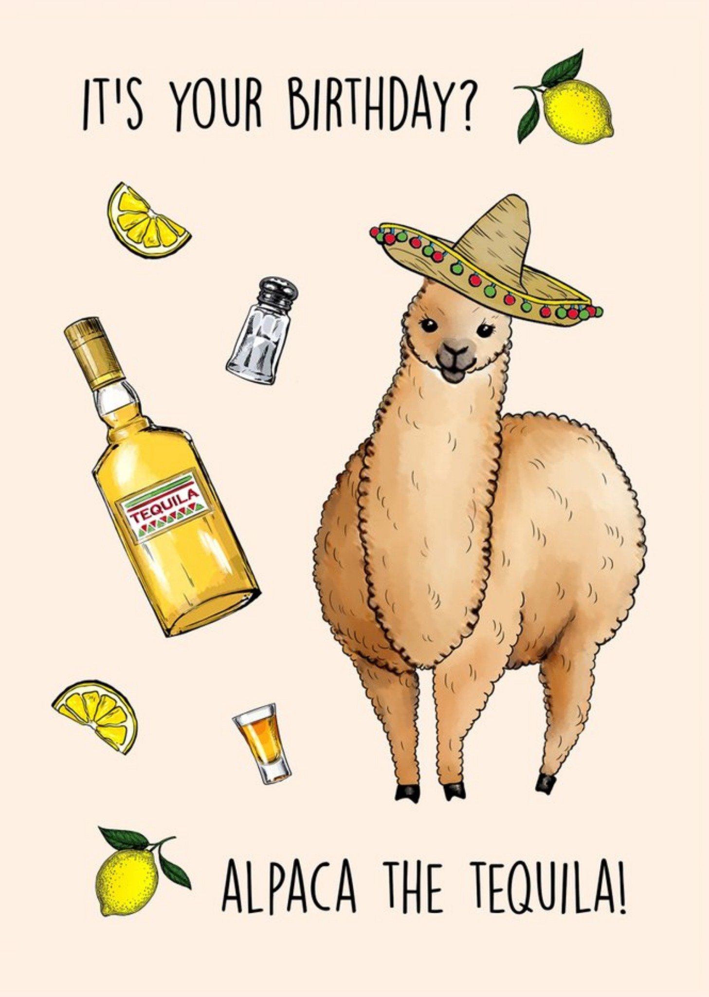 Moonpig Poppy And Mabel It's Your Birthday. Alpaca The Tequila Card Ecard