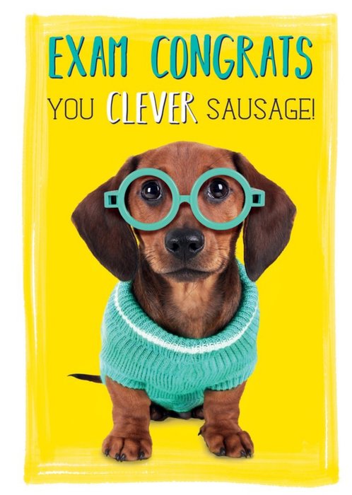Exam Congrats You Clever Sausage Dog Card