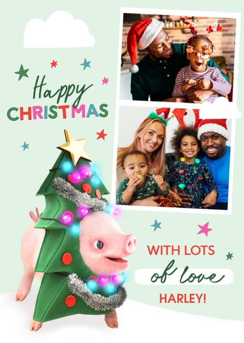 Moonpigs Cute Christmas Tree Pig Christmas Card