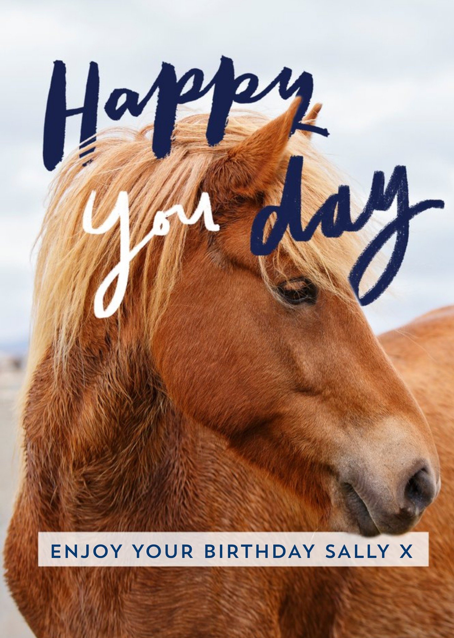 Moonpig Horse Birthday Card, Large