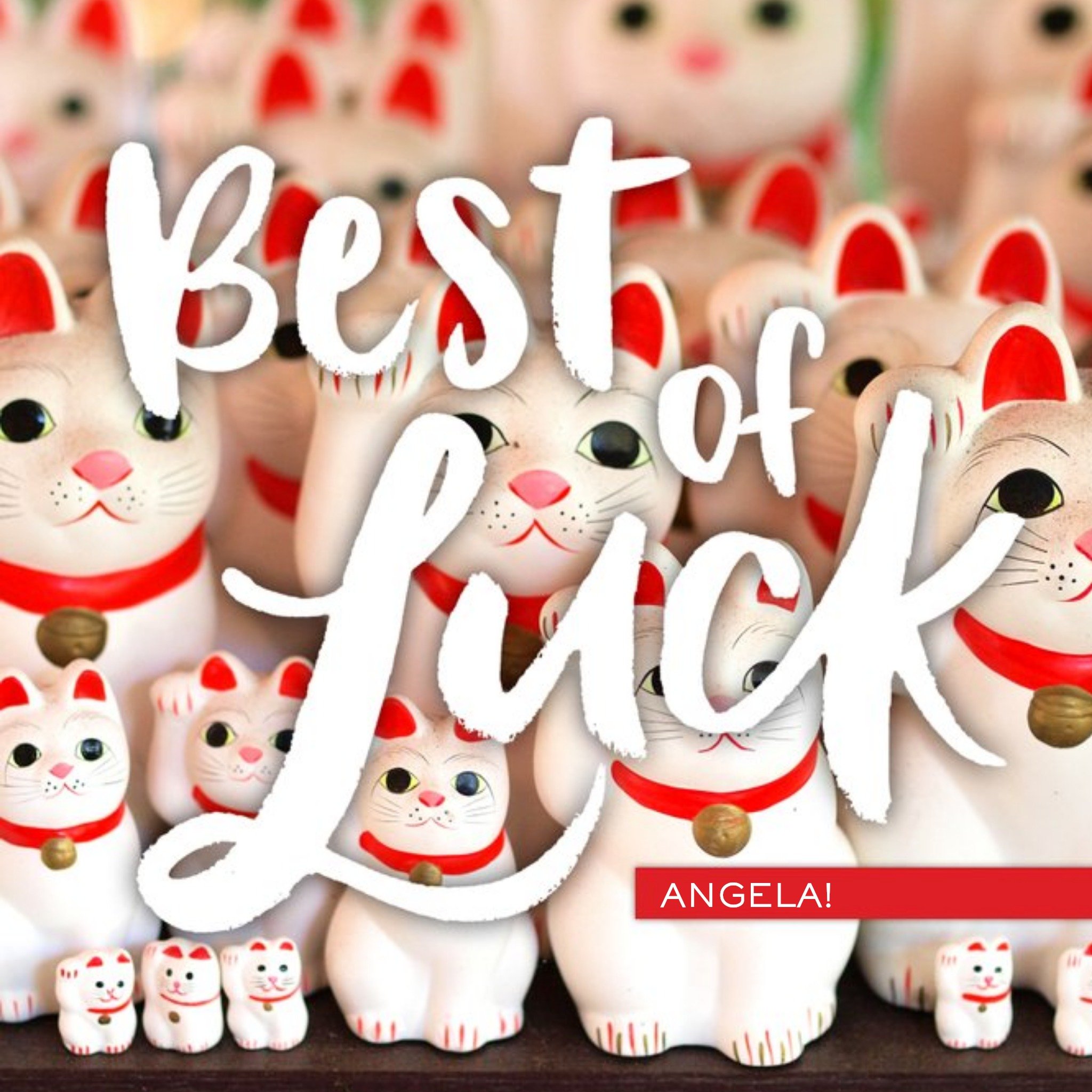 Lucky Cat Good Luck Personalised Card, Square