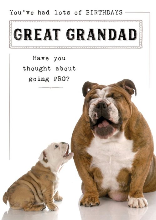 Photographic Bulldog Great Granddad Birthday Card  