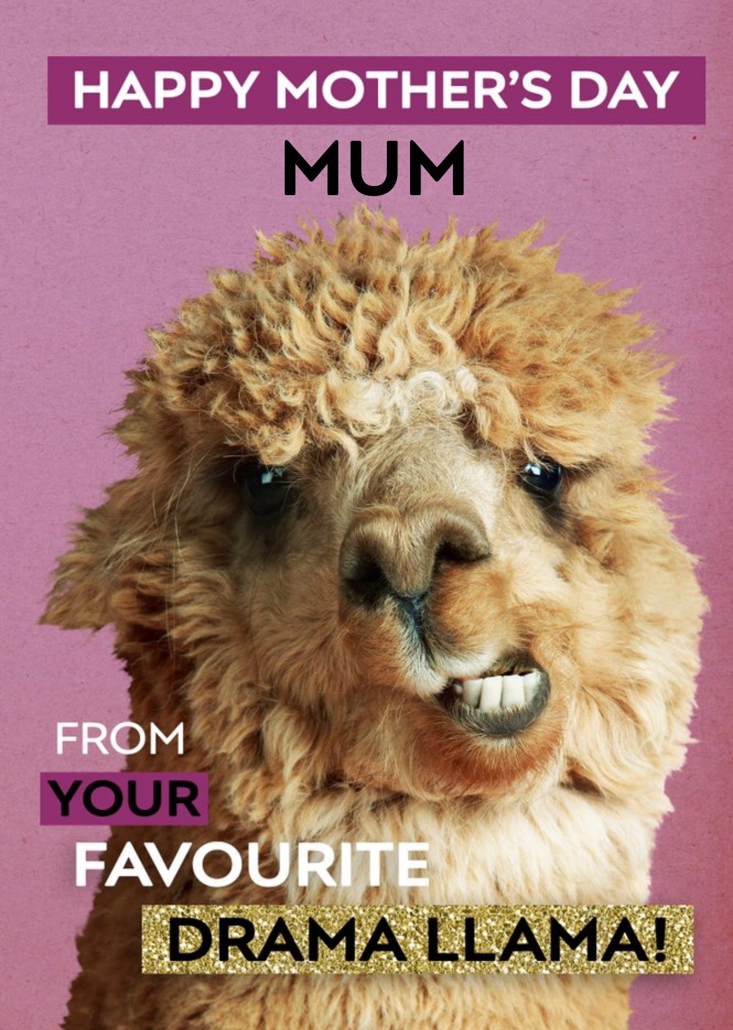 Moonpig From Your Favourite Drama Llama Funny Mother's Day Card Ecard