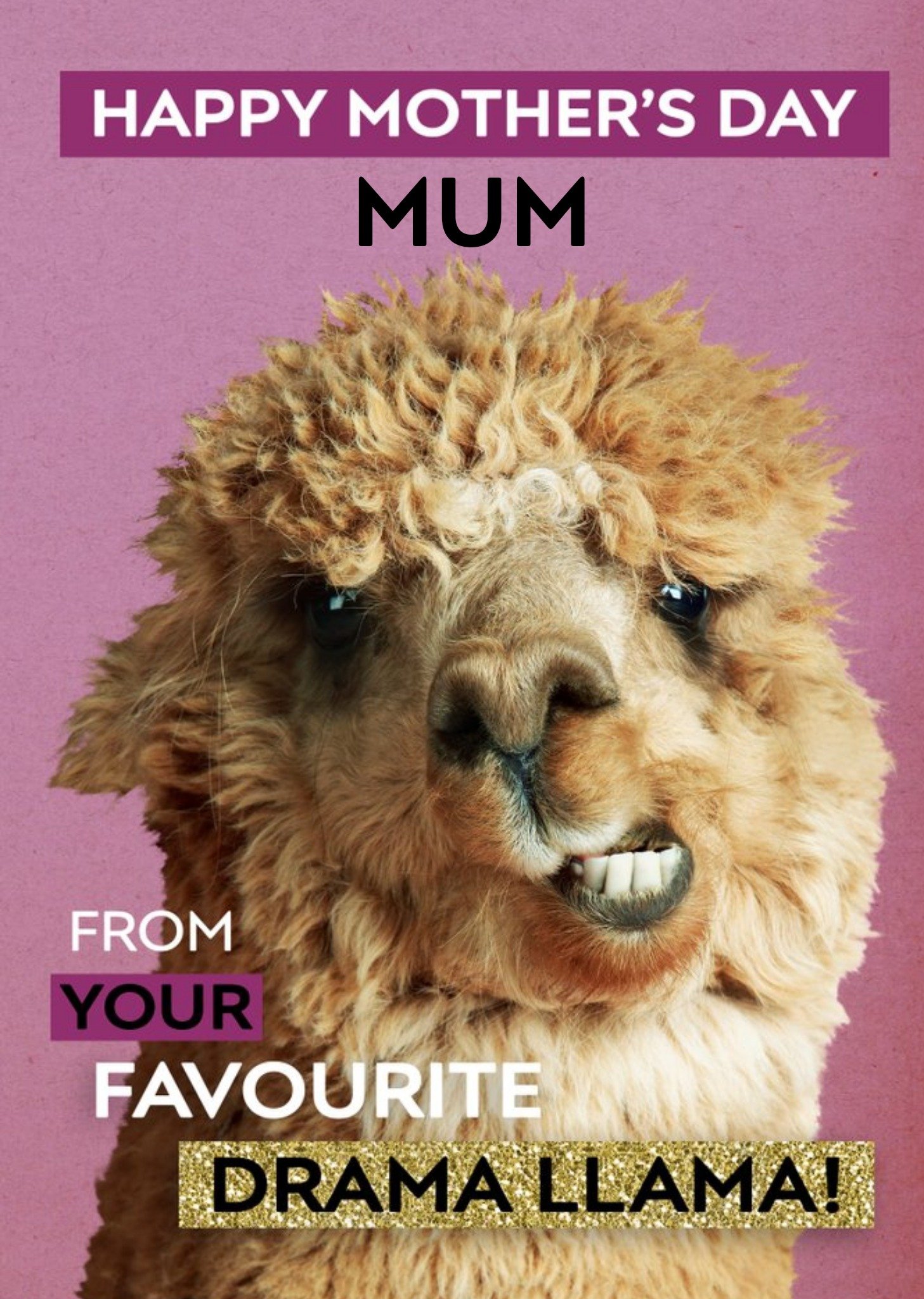 From Your Favourite Drama Llama Funny Mother's Day Card Ecard