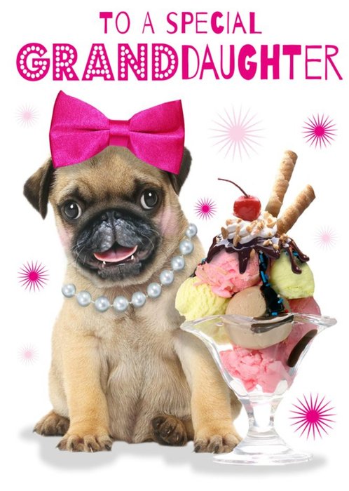 Cute Pug Puppy With Ice Cream Sundae Granddaughter Birthday Card