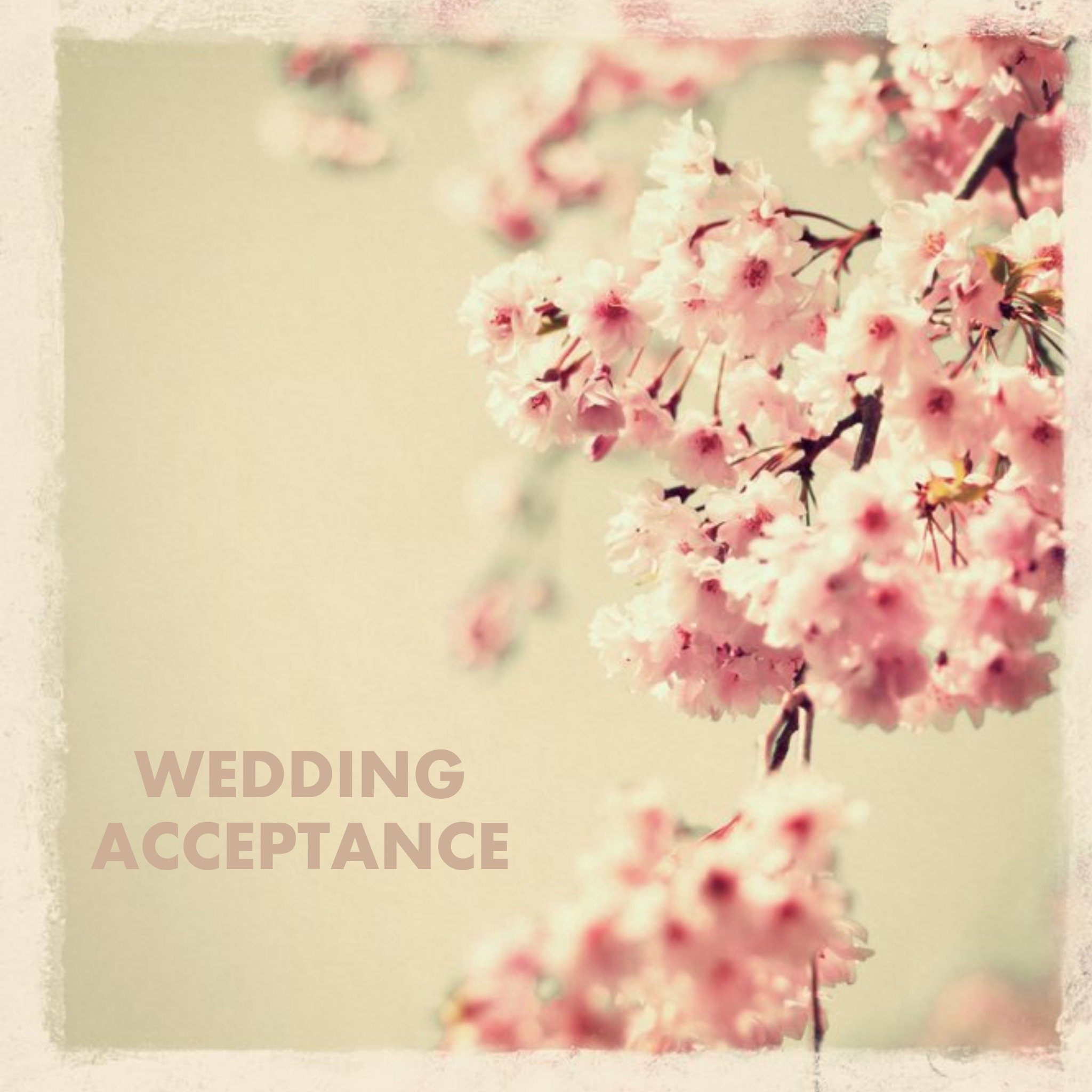 Cherry Blossoms Wedding Acceptance Card, Square