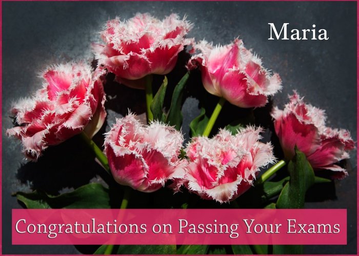 Photograph Of Beautiful Pink Flowers Congratulations On Passing Your Exams Card