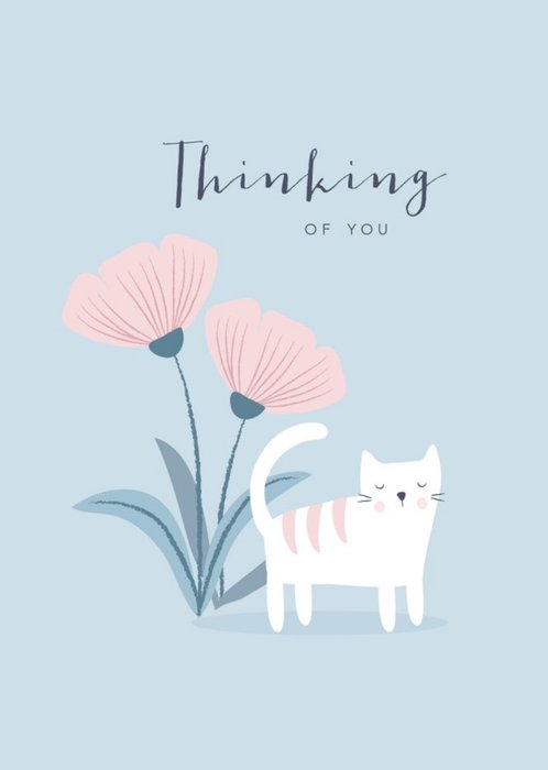 Klara Hawkins Thinking of You Cat Card