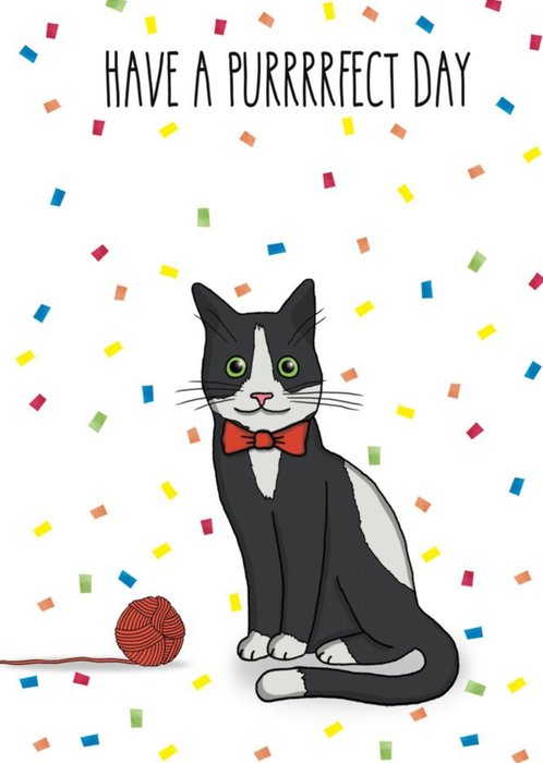 Perfect Purfect Day Cat Confetti Pun Birthday Card