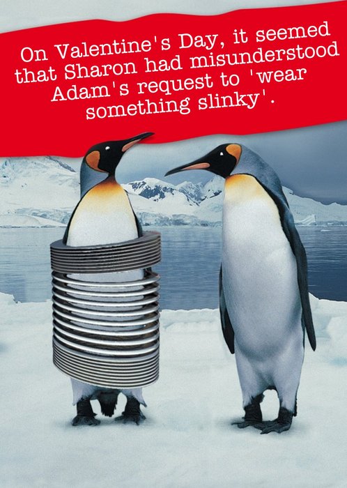 Funny Penguins Valentines Day Card