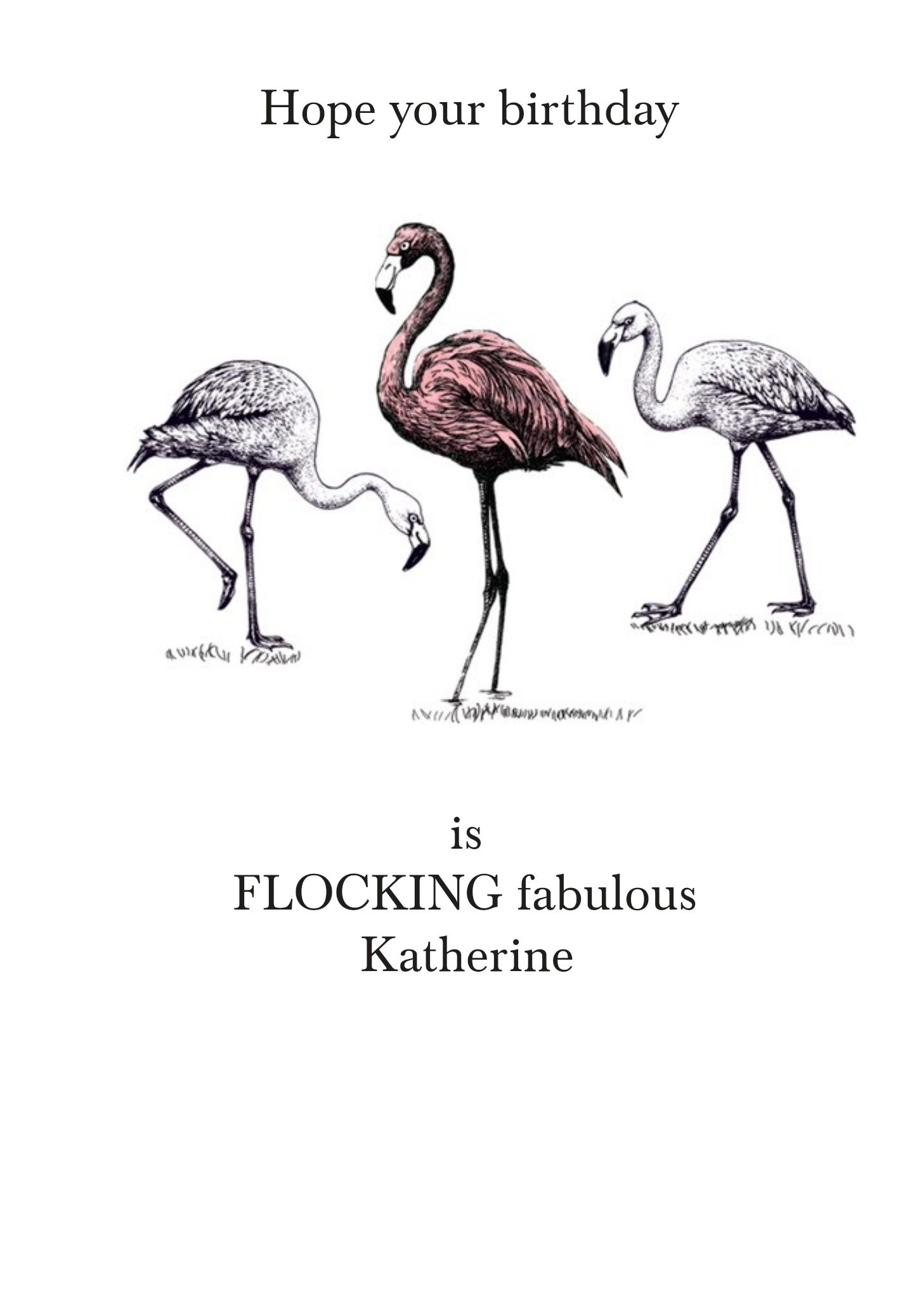Moonpig Birthday Card - Birds - Fabulous, Large