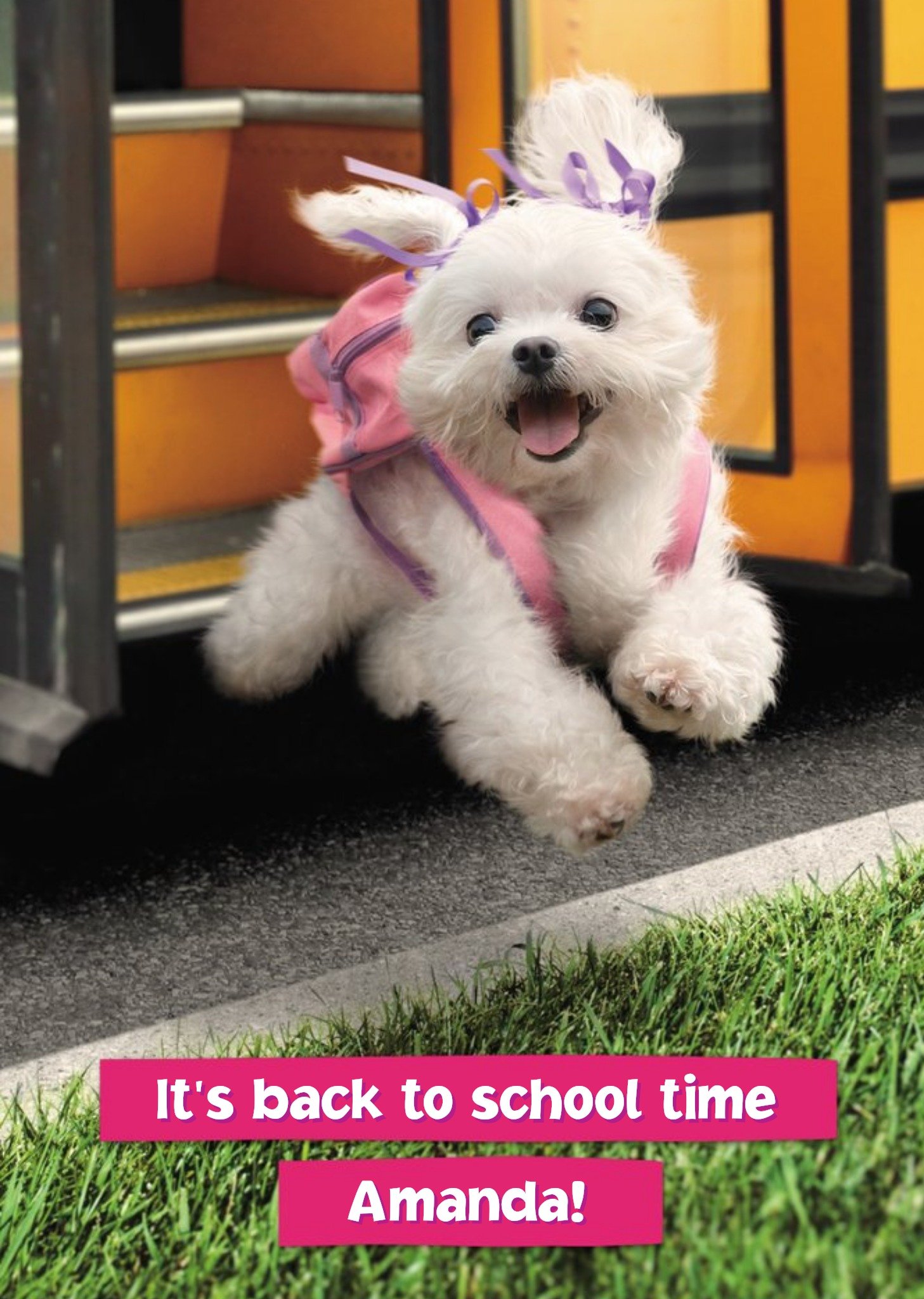 Back To Scool - It's Back To School Time Ecard