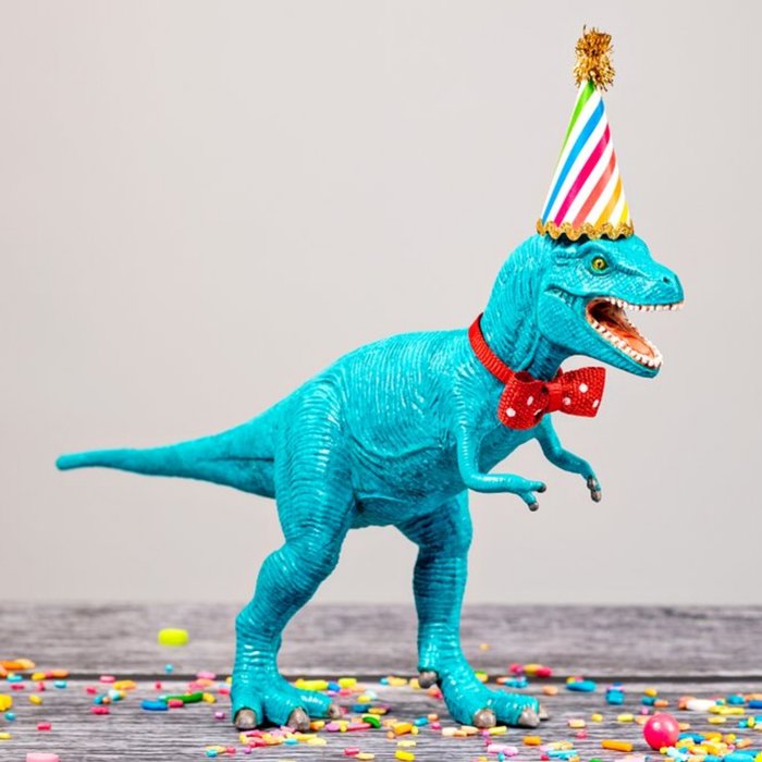 Photographic Colourful Party T Rex Dinosaur Card
