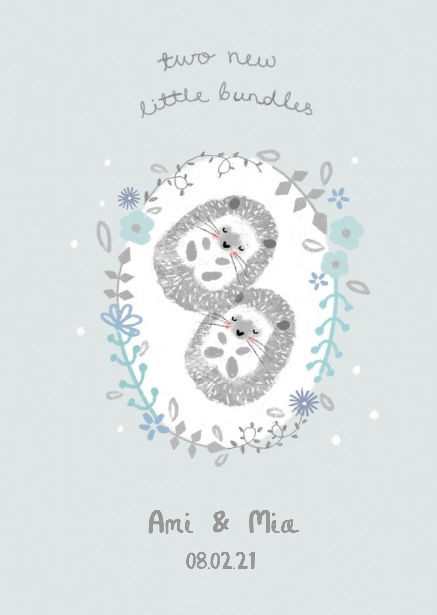 Cute Hedgehogs Two New Bundles New Baby Card Ecard