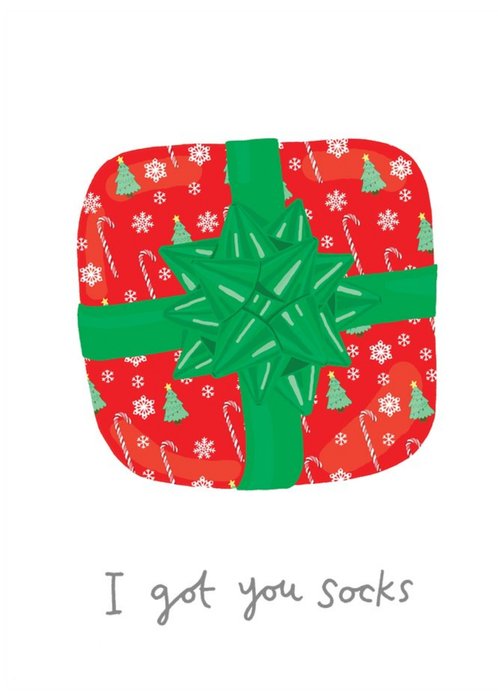 I Got You Socks Funny Illustration Christmas Card