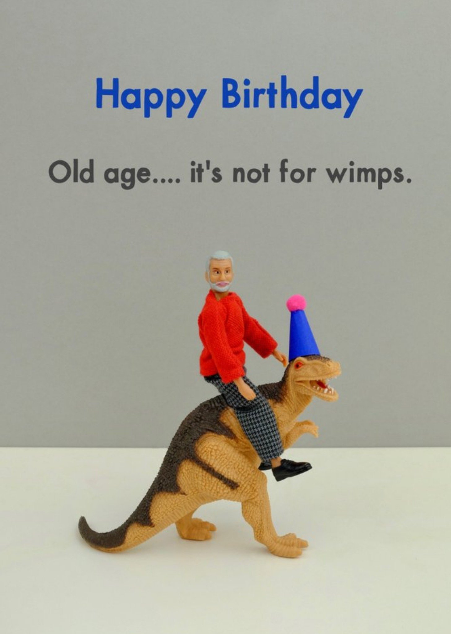 Bold And Bright Funny Old Age Is Not For Wimps Card, Large