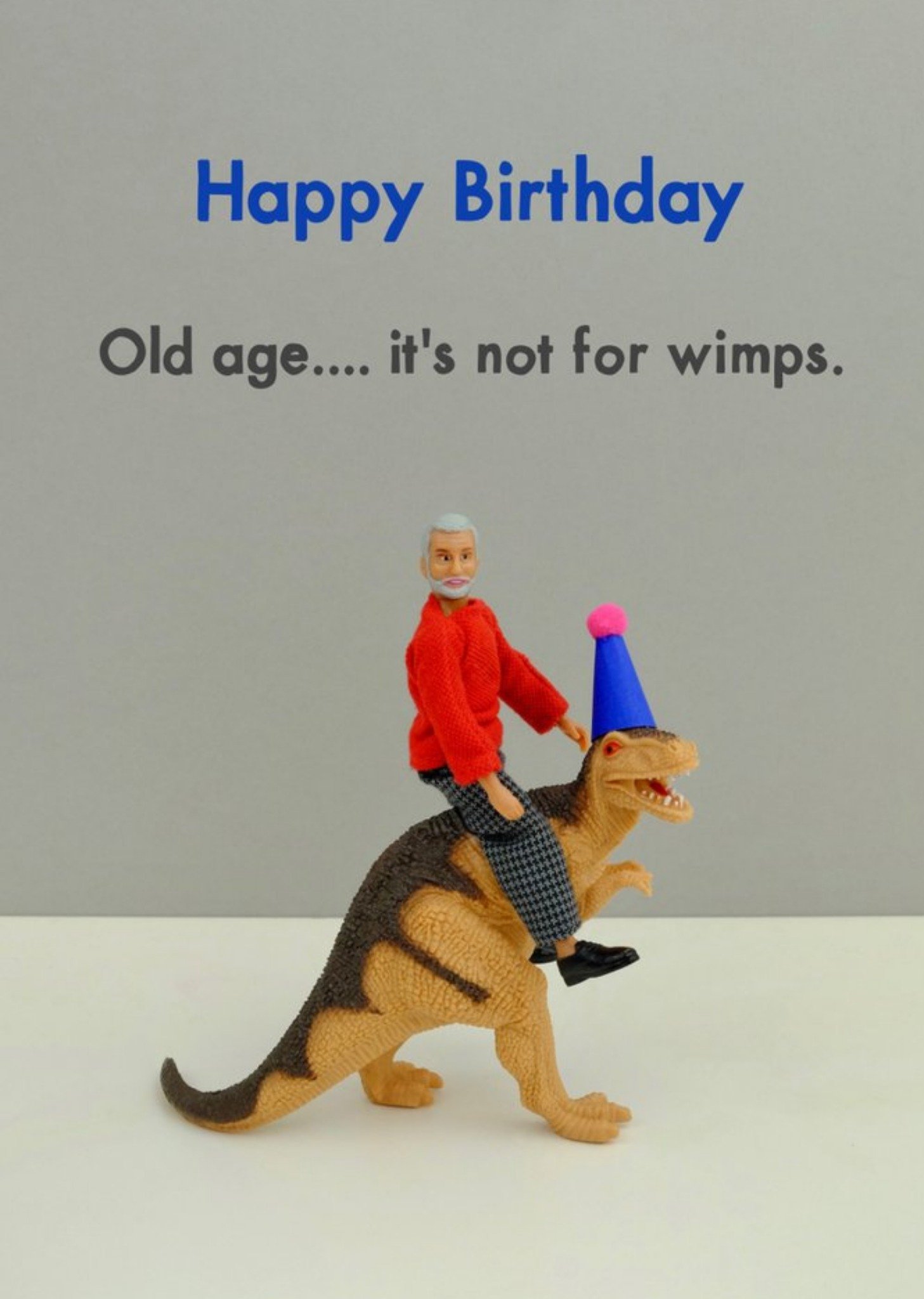 Bold And Bright Funny Old Age Is Not For Wimps Card Ecard