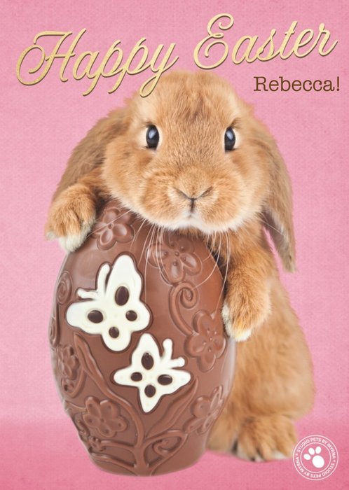 Adorable Bunny Hugging Chocolate Egg Easter Card