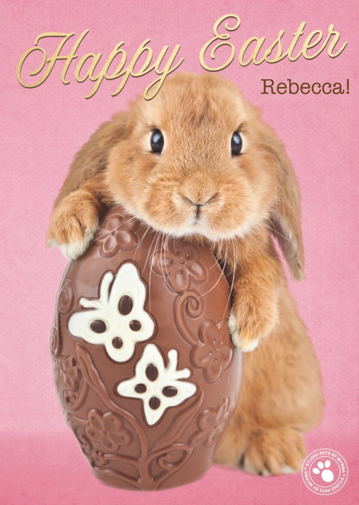 Studio Pets Adorable Bunny Hugging Chocolate Egg Easter Card, Large